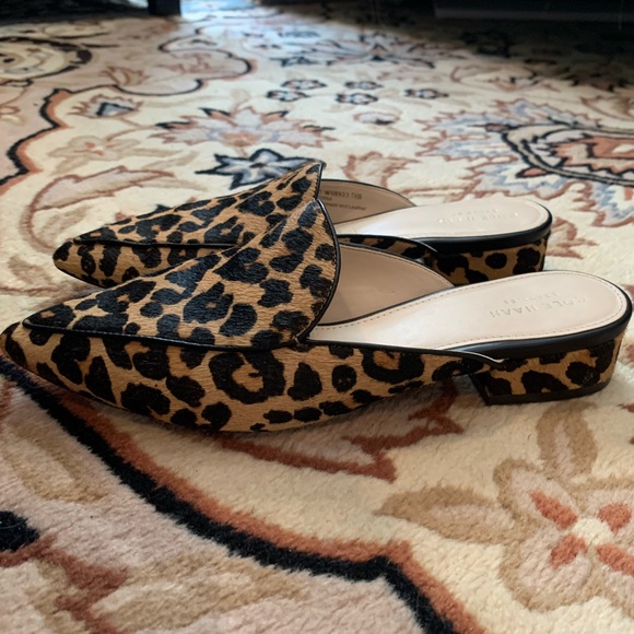 Slides - Picture 4 of 4